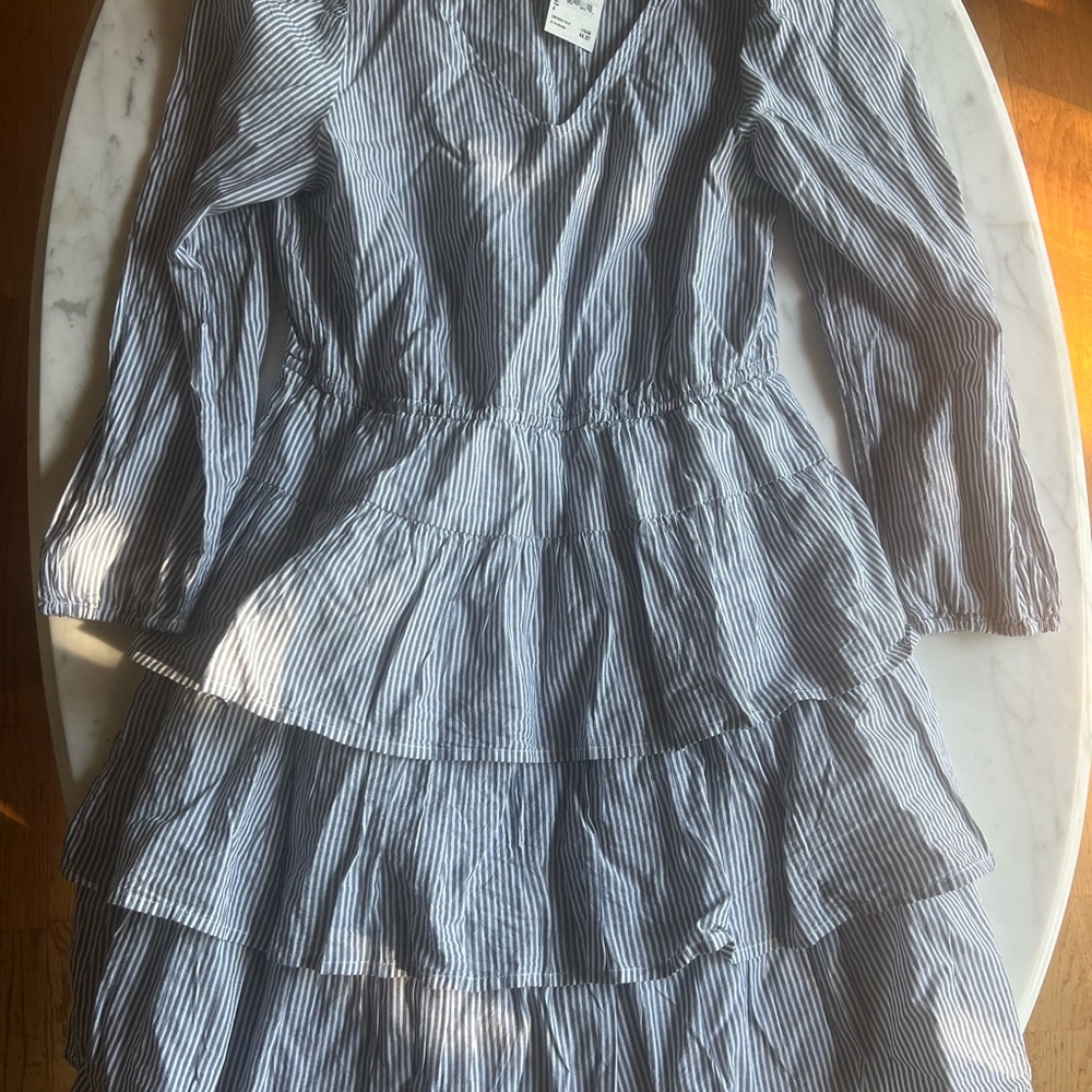 J. Crew Blue and White Striped Dress